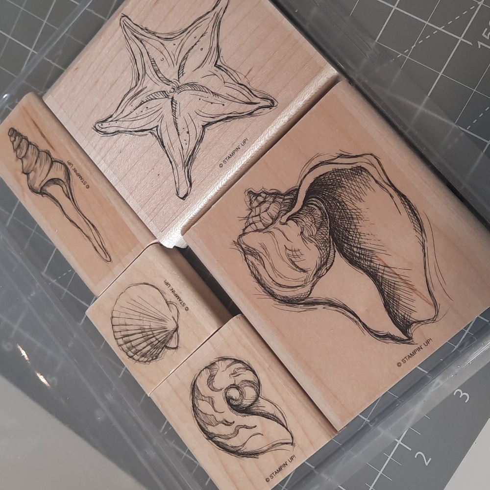 Seaside Shells Stampin Up rubber stamp set